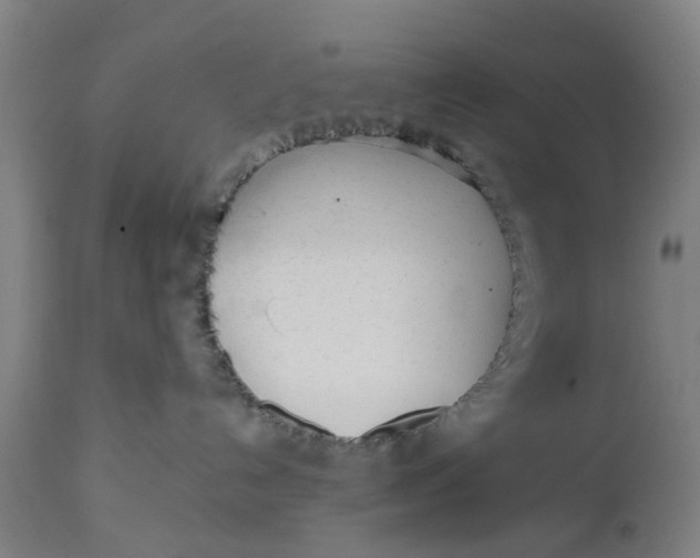 X0000112480192200909071206