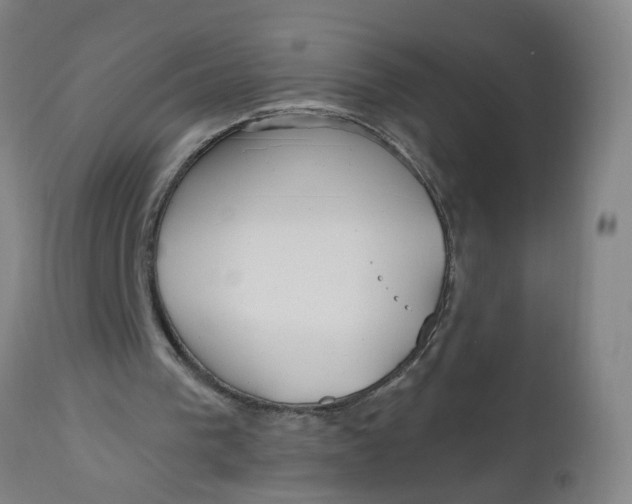 X0000112480193200909071206