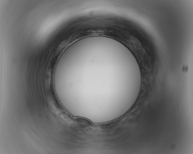 X0000112480194200909071206