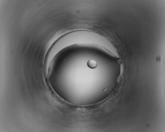 X0000112480195200909071206