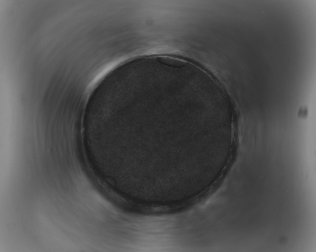 X0000112480196200909071206