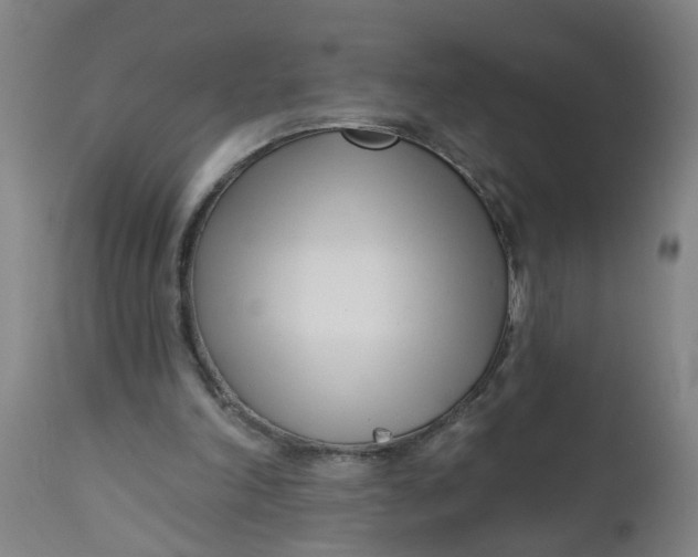 X0000112480198200909071206