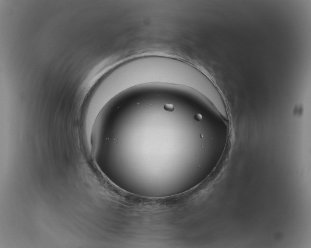 X0000112480199200909071206