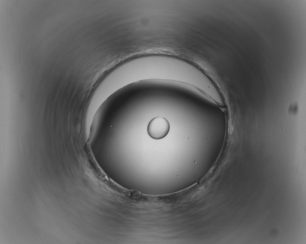 X0000112480201200909071206