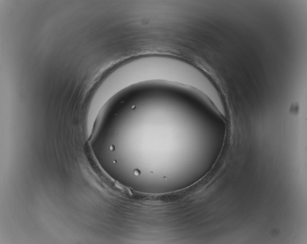 X0000112480203200909071206