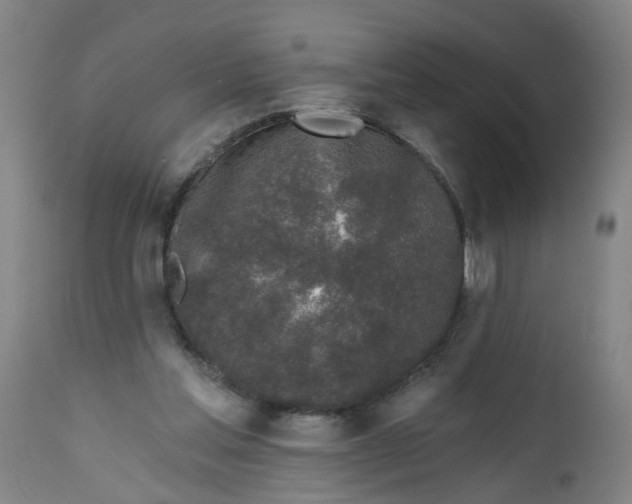 X0000112480205200909071206