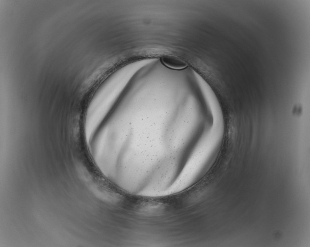 X0000112480206200909071206