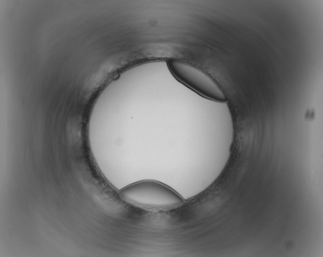 X0000112480207200909071206