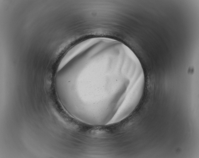 X0000112480208200909071206