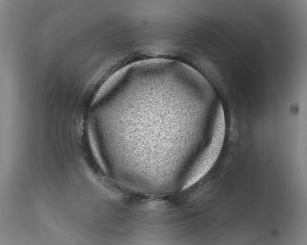 X0000112480210200909071206