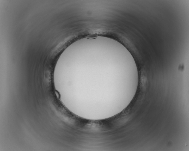 X0000112480211200909071206