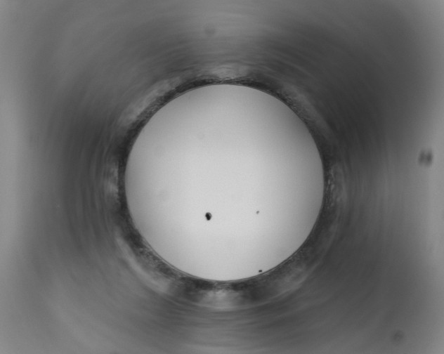 X0000112480212200909071206