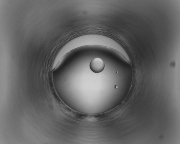 X0000112480217200909071205