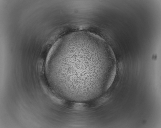 X0000112480222200909071205