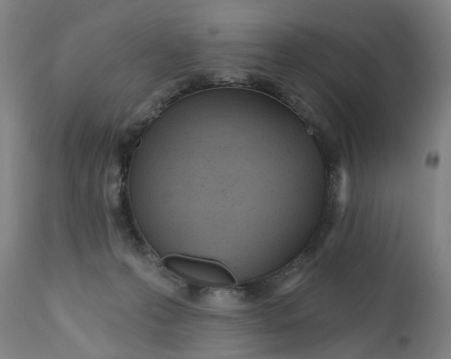 X0000112480223200909071205