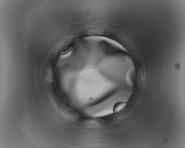 X0000112480224200909071205