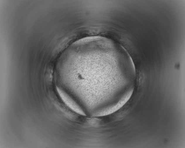 X0000112480226200909071205