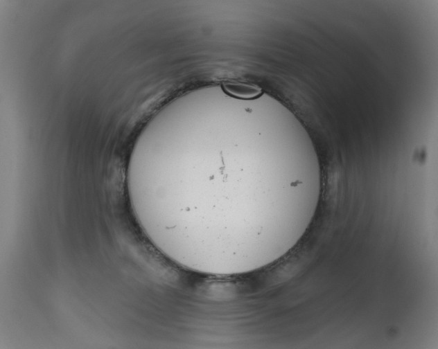 X0000112480228200909071205