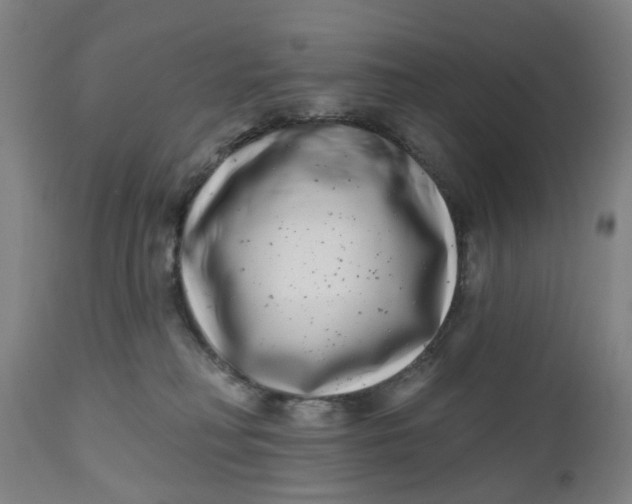 X0000112480230200909071205