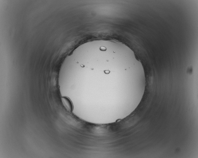 X0000112480232200909071205