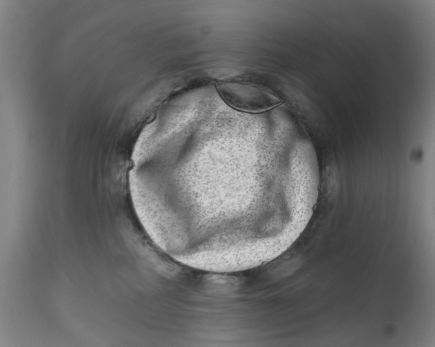 X0000112480234200909071205