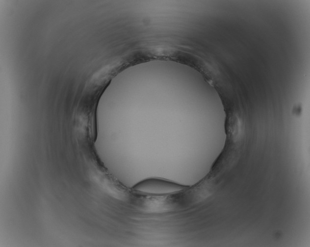 X0000112480235200909071205