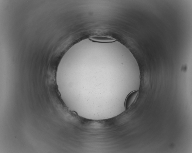 X0000112480236200909071205