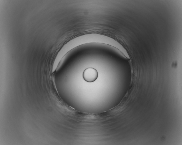 X0000112480237200909071205