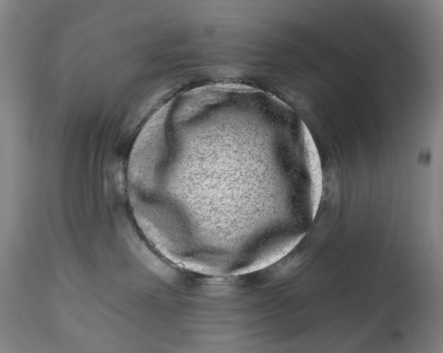 X0000112480238200909071205