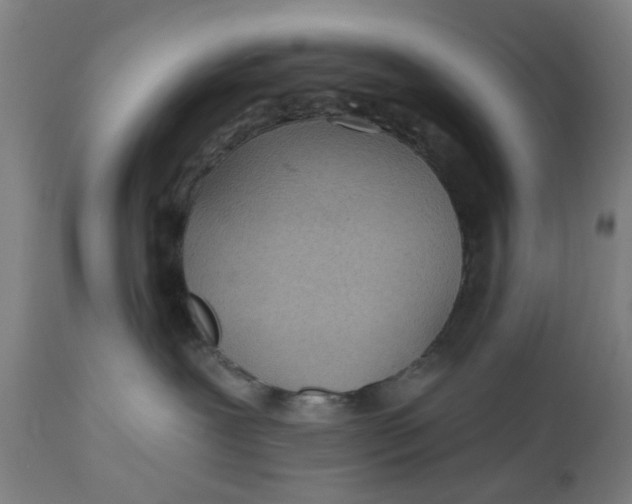 X0000112480239200909071205