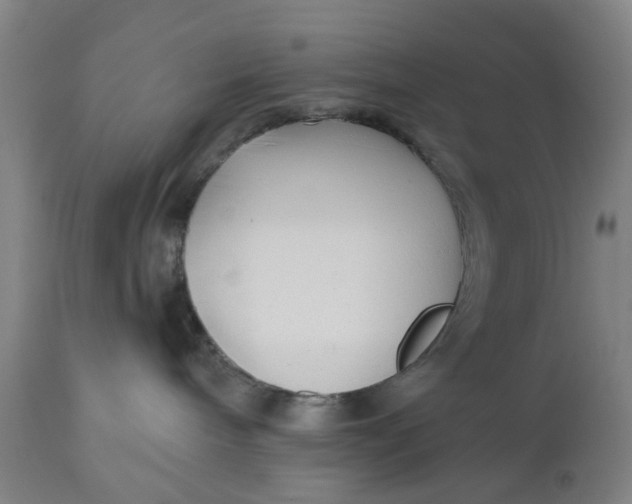 X0000112480240200909071205