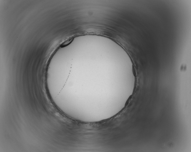 X0000112480241200909071204