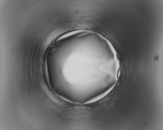 X0000112480242200909071204