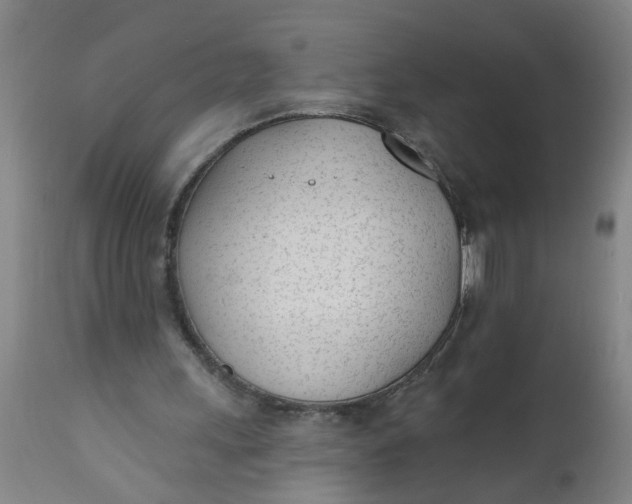 X0000112480243200909071204