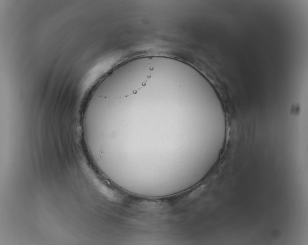 X0000112480245200909071204