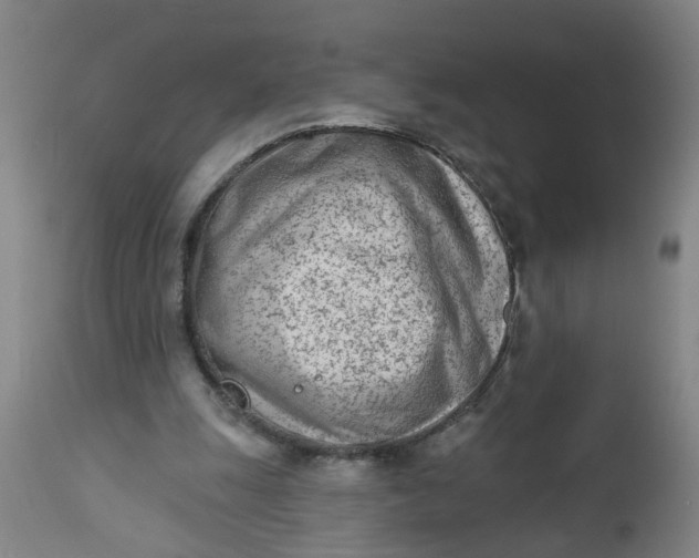 X0000112480247200909071204