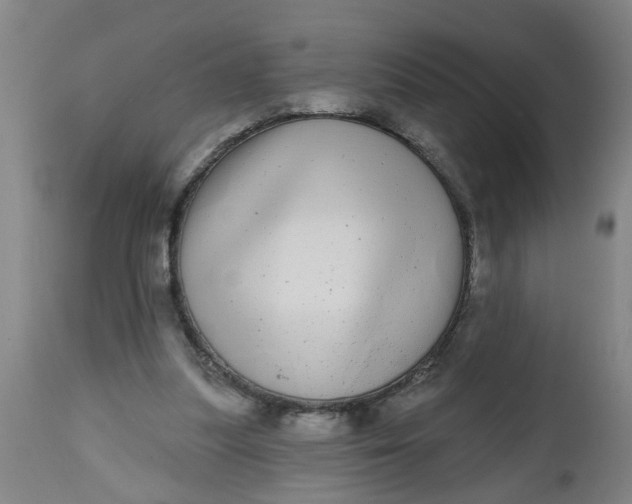 X0000112480251200909071204