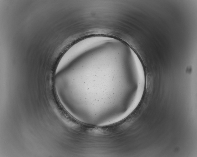 X0000112480253200909071204