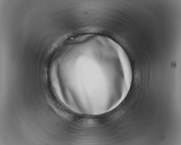 X0000112480254200909071204