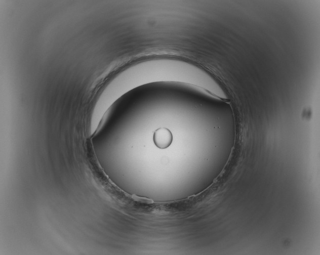 X0000112480256200909071205