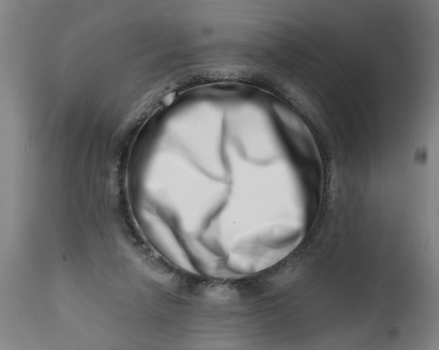 X0000112480258200909071205