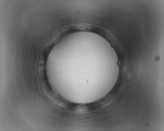 X0000112480263200909071205