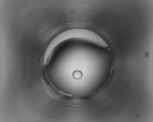 X0000112480264200909071205