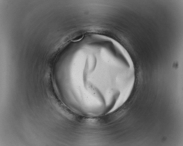 X0000112480265200909071205