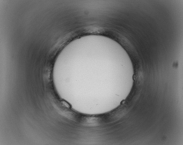 X0000112480268200909071205