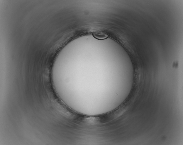 X0000112480269200909071205