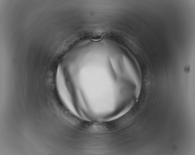 X0000112480270200909071205