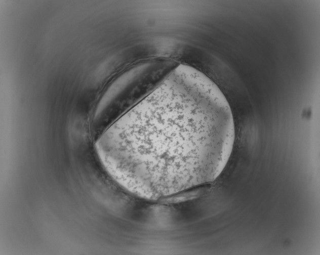 X0000112480272200909071205