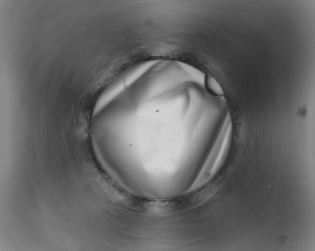 X0000112480273200909071205