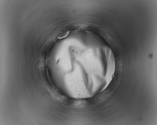 X0000112480274200909071205